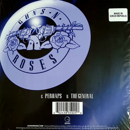 Guns N' Roses: Perhaps - Black Vinyl 7" Single