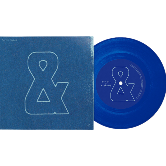 Signed-And-Part-Two-Bastille-Blue-Vinyl-7in-Single